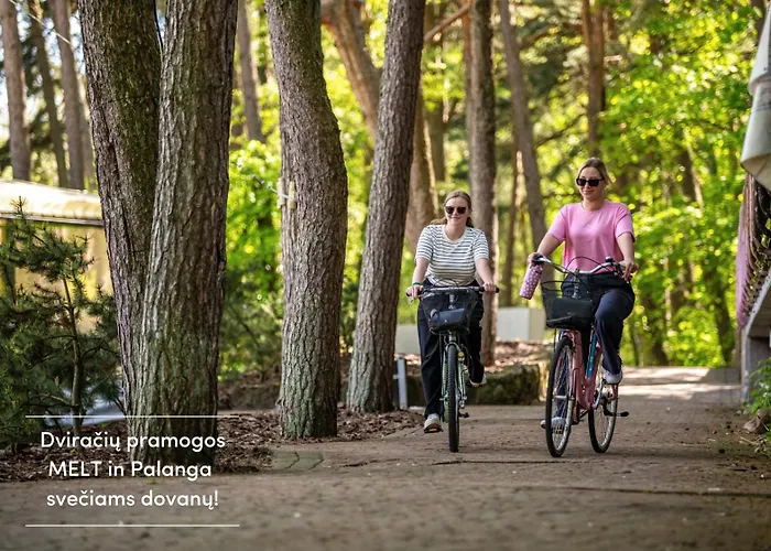 Melt In Self Check-in Апартаменты Паланга